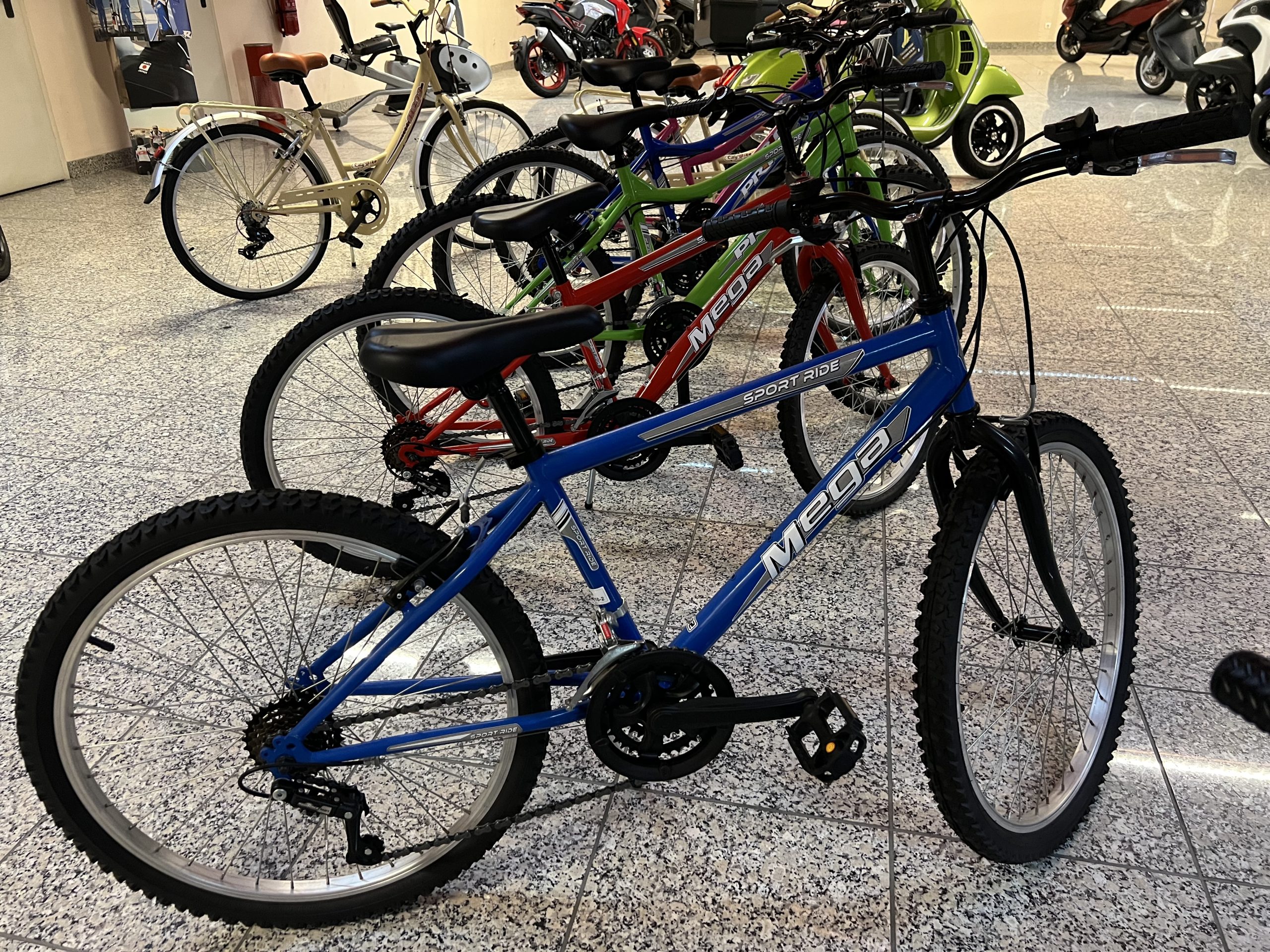 Bicicleta Mega Roda 20 – Estrela Dias